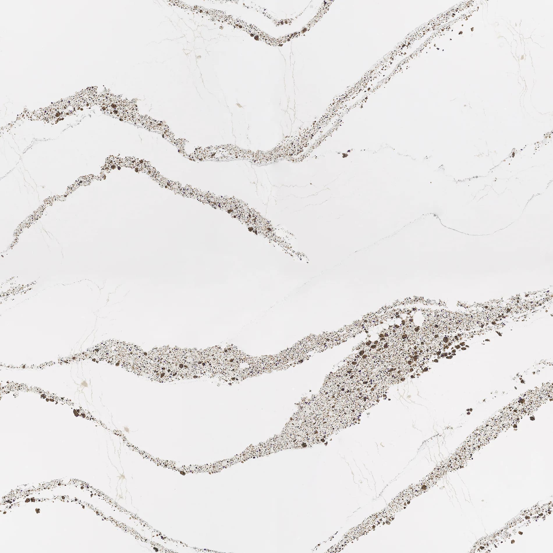 Annicca Cambria Quartz