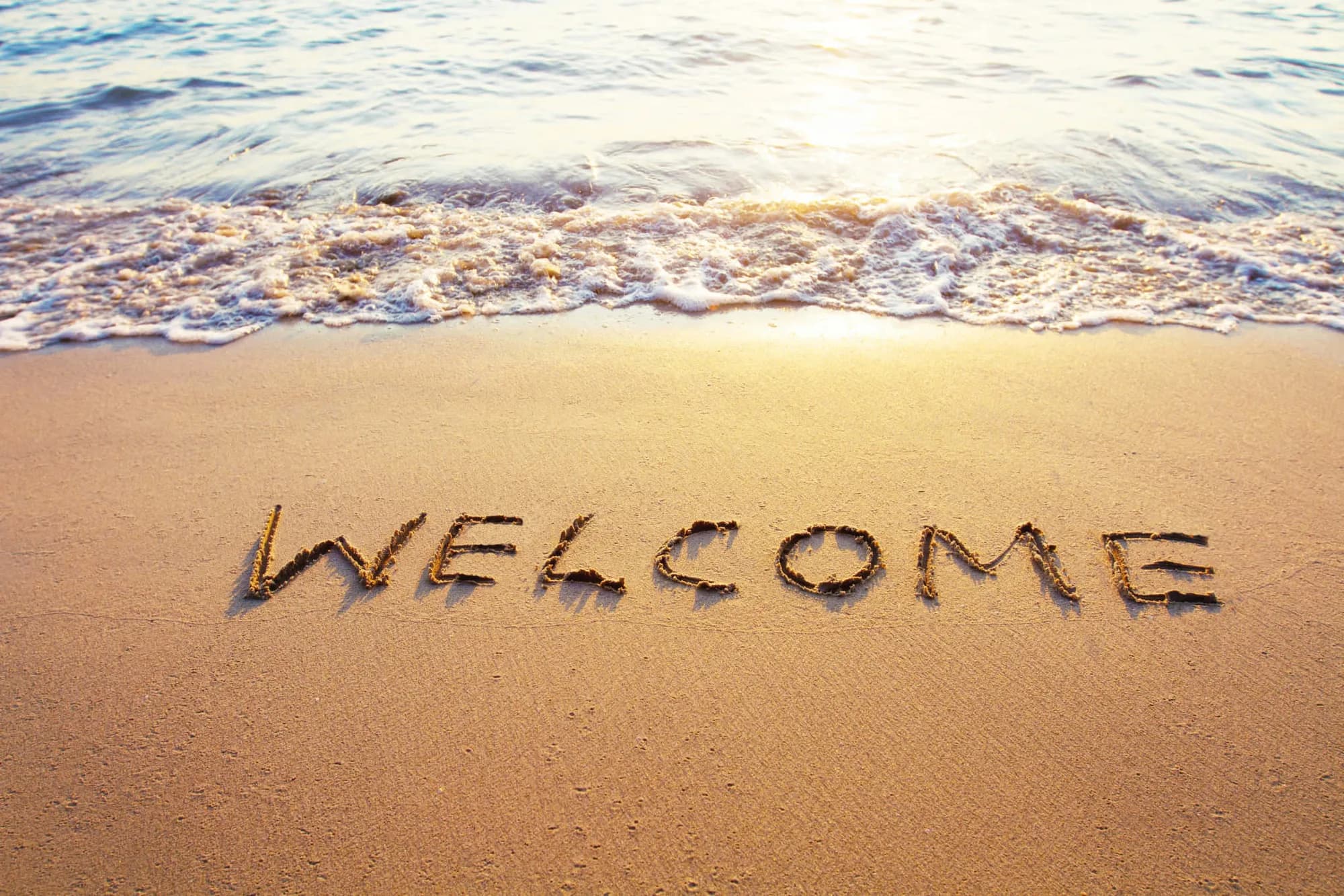 Welcome to Our Blog