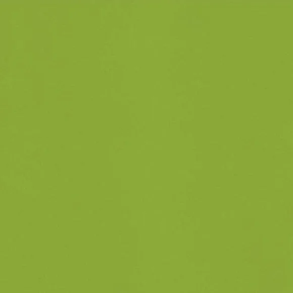 Green Fun Silestone Quartz