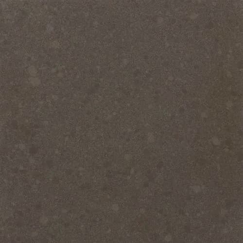 DALTILE GEO FLECKS SPANISH MOSS NQ21
