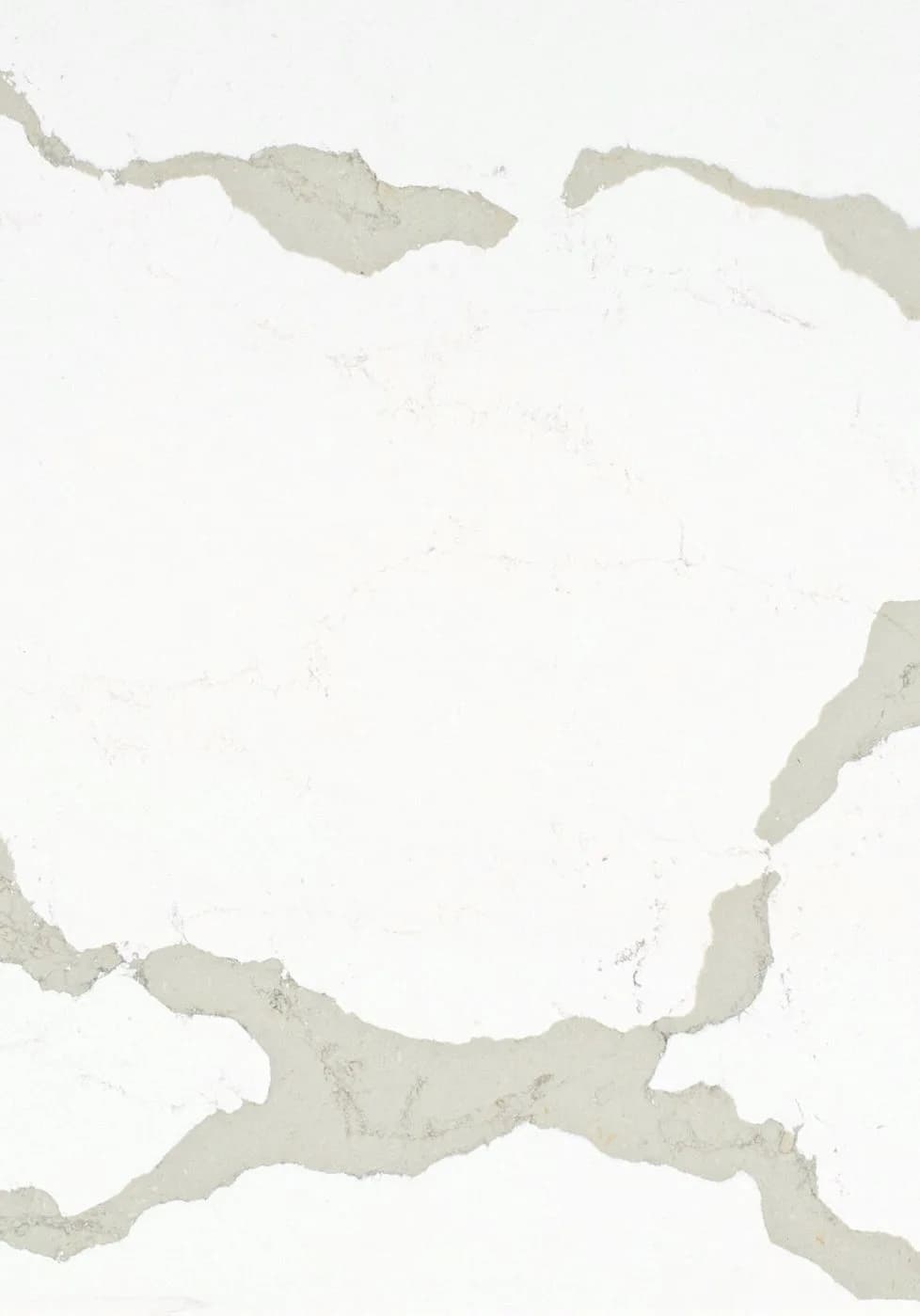 Calacatta Maximus Caesarstone Quartz