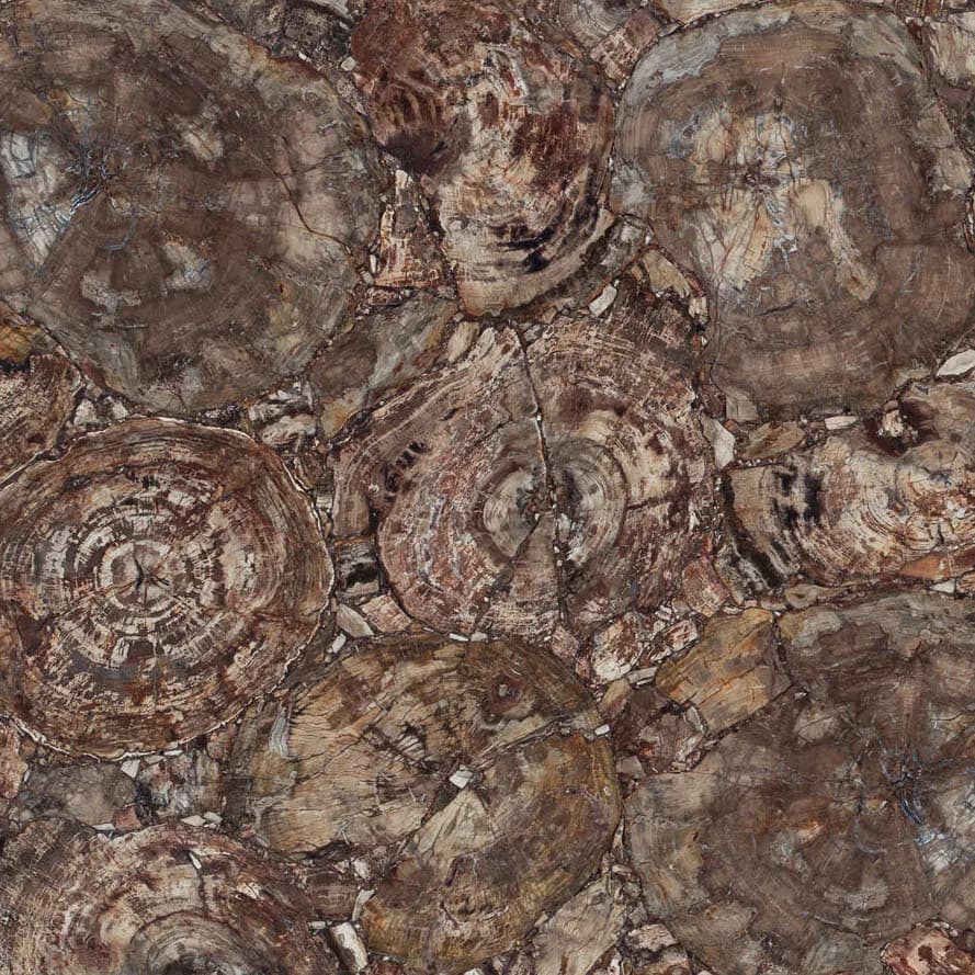 Albero Caesarstone Quartz