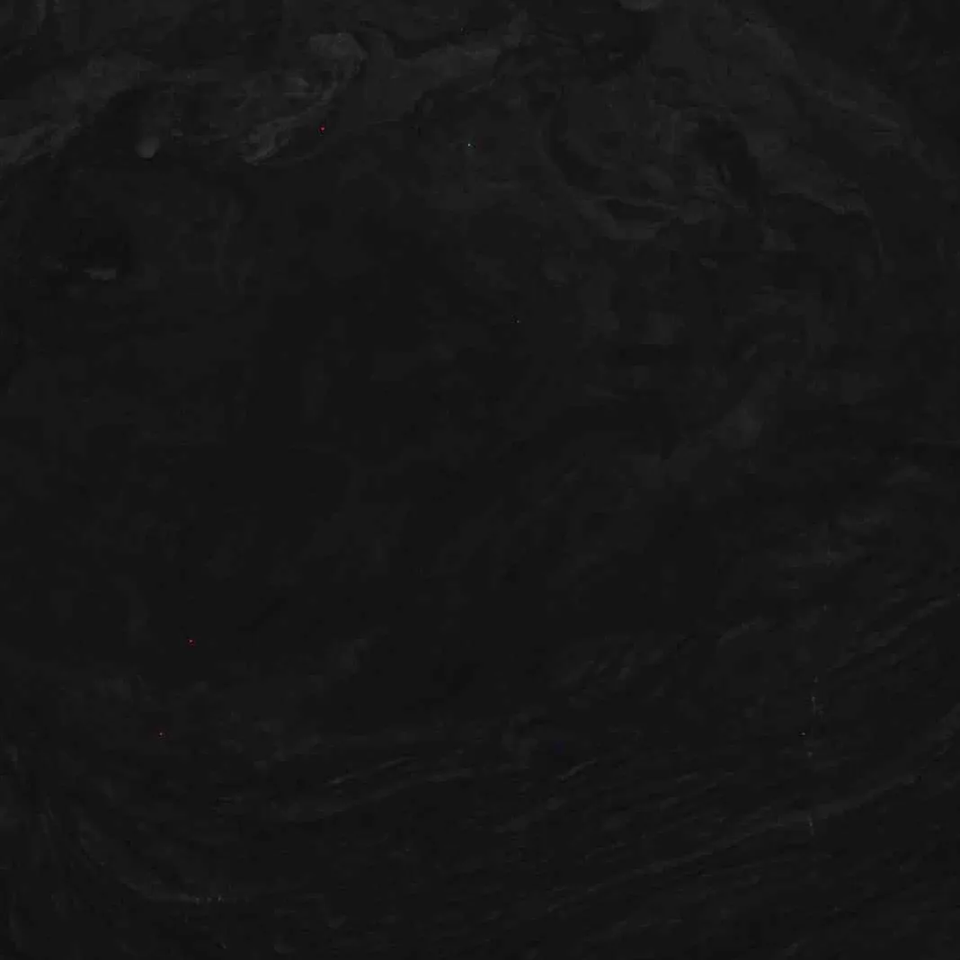 Brilliant Black Quartzite