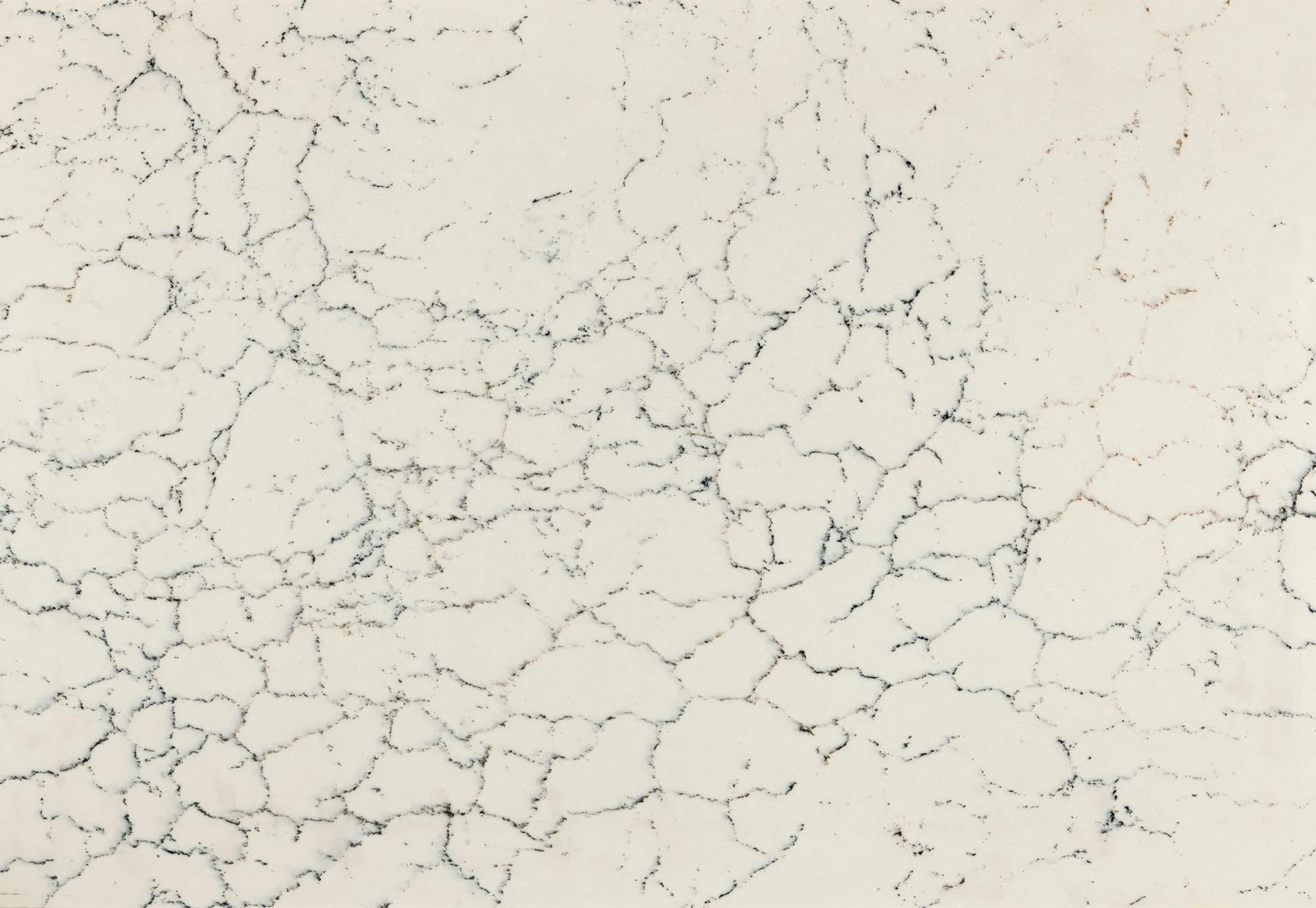 Falconwood Cambria Quartz : Home Depot