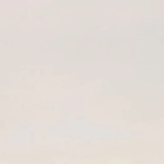 Igloo White LG Viatera Quartz