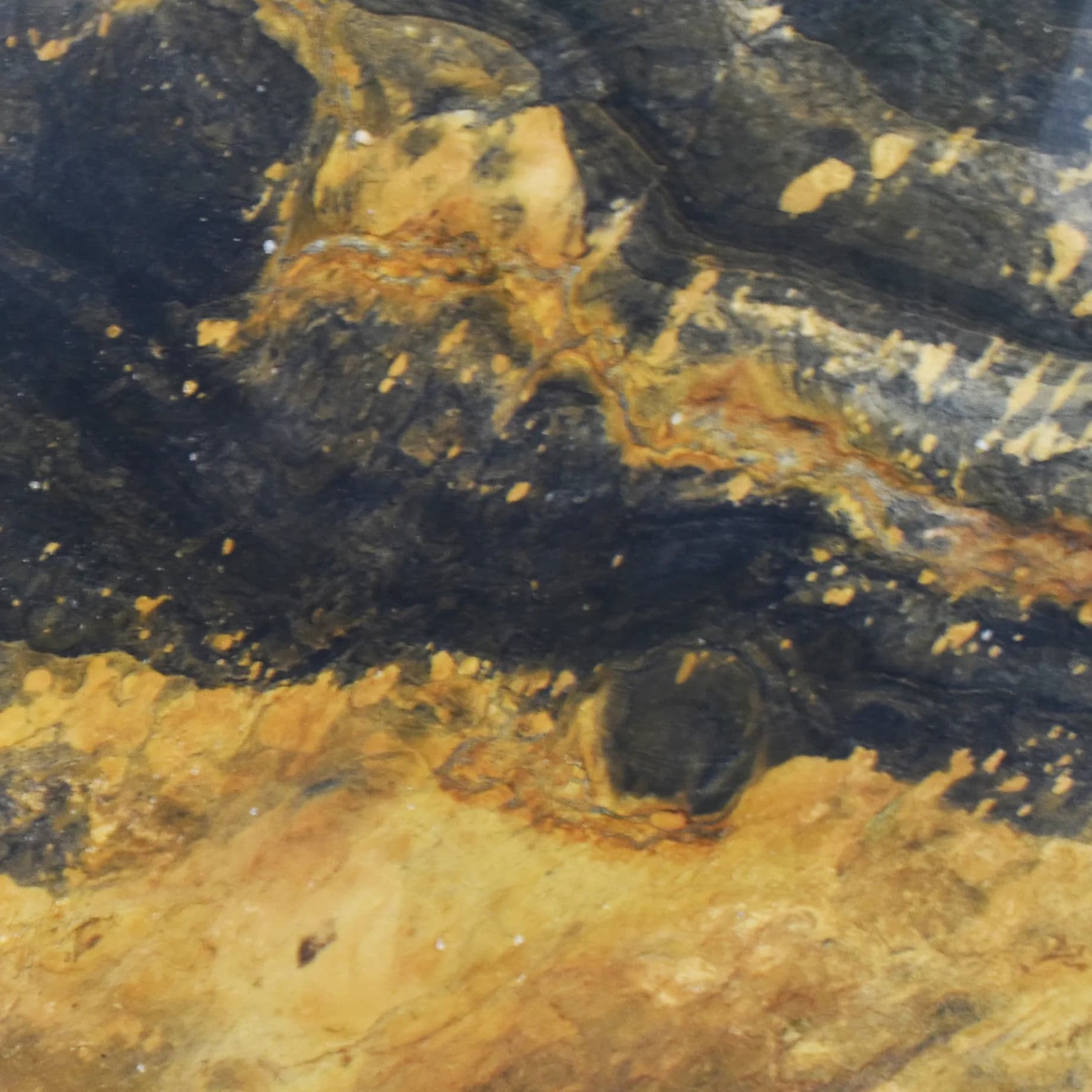 Jacaranda Quartzite