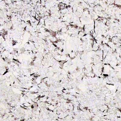 Mystic Spring Granite