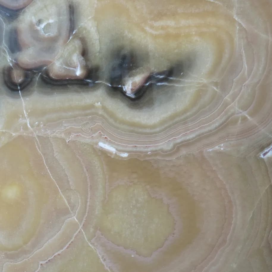 Onyx Brown