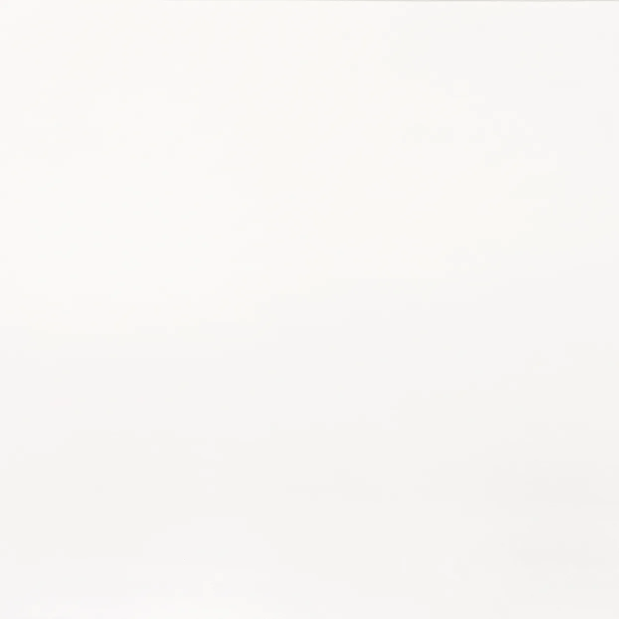 Porcelain White LG Viatera Quartz