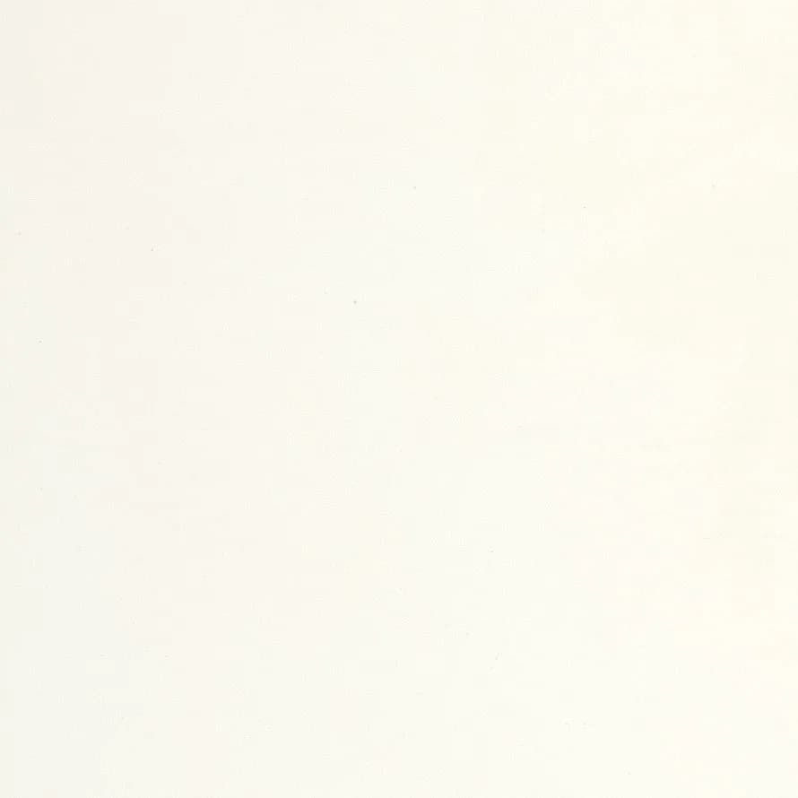 Vivid White Caesarstone Quartz