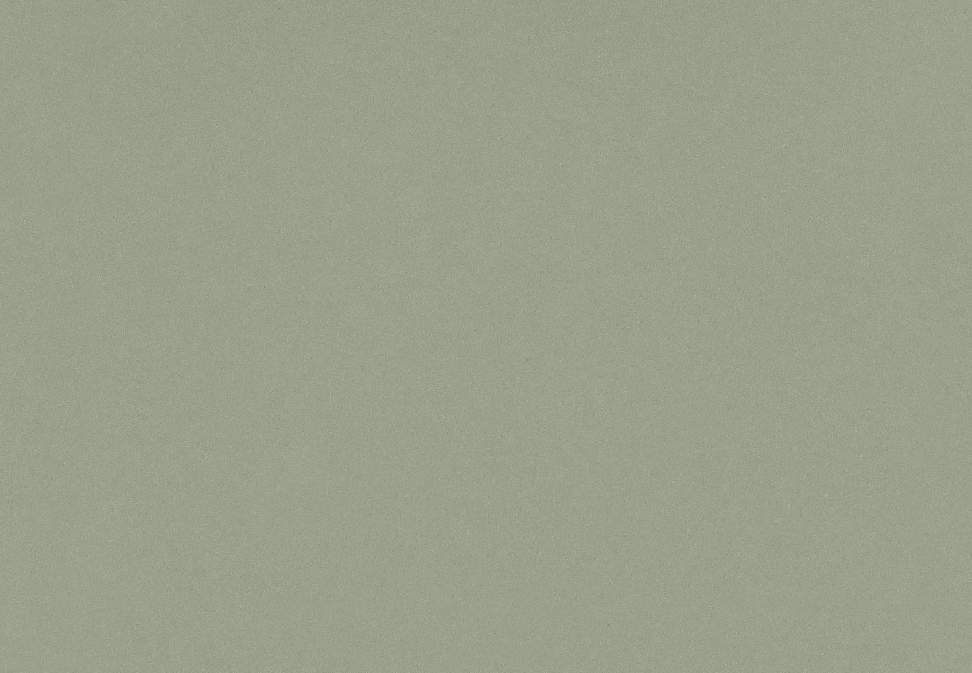 Posidonia Green Silestone Quartz
