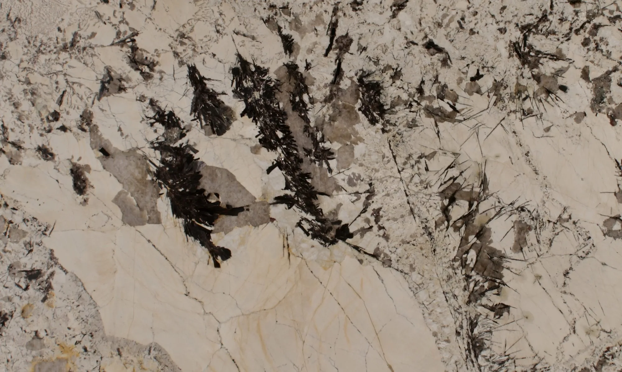 Grand Delicatus Granite Slab