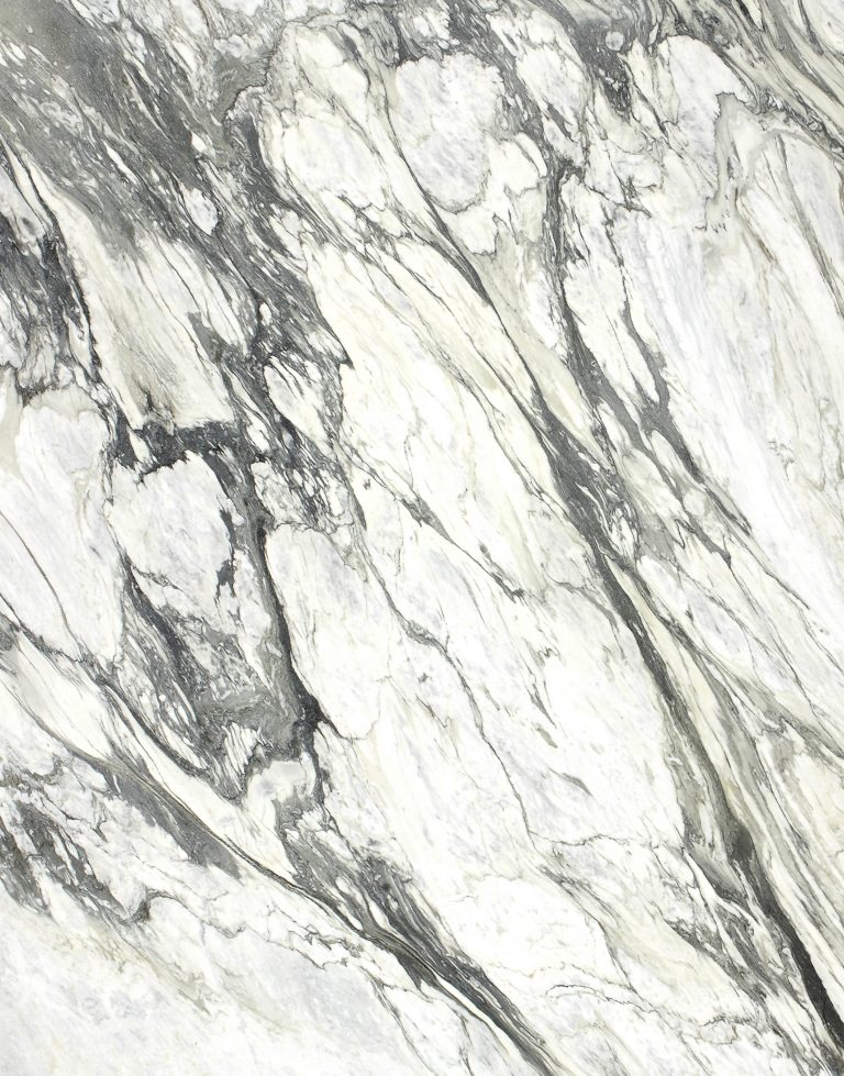Calacatta Black Supreme Marble | Countertops, Cost, Reviews