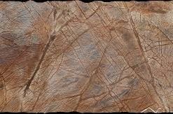 Rainforest Brown Granite