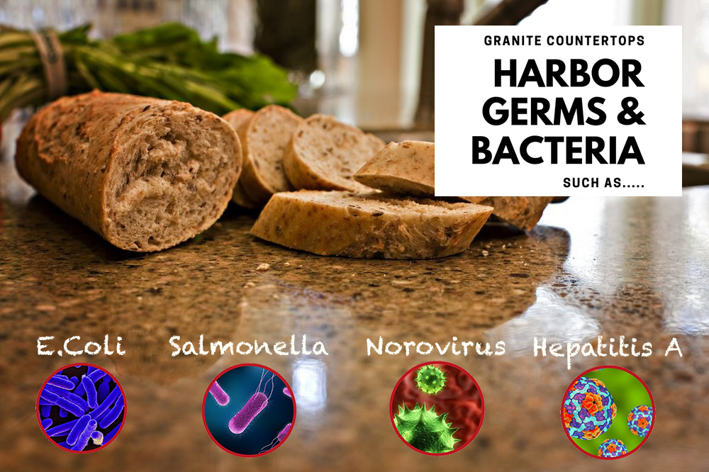 granite countertops harbor germs and bacteria such as norovirus salmonella hepatitis a ecoli