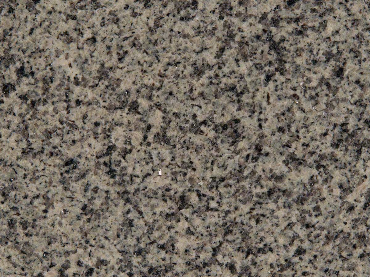 Bohemian Gray Granite Slab