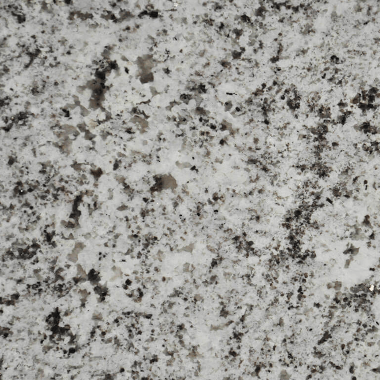 Perlato Granite  Countertops Cost Reviews