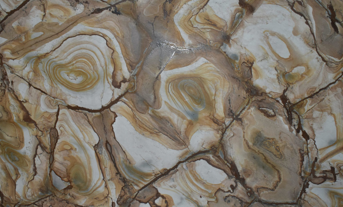 Stonewood Quartzite Full Slab