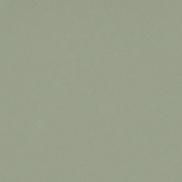 Posidonia Green Silestone Quartz