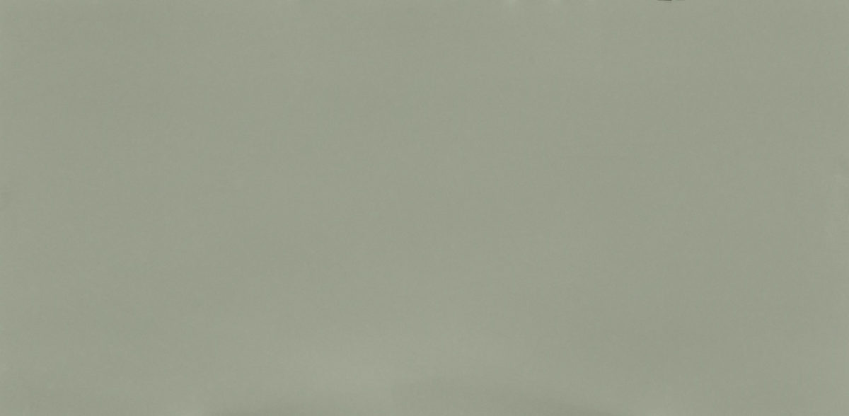 Posidonia Green Silestone Quartz Slab View